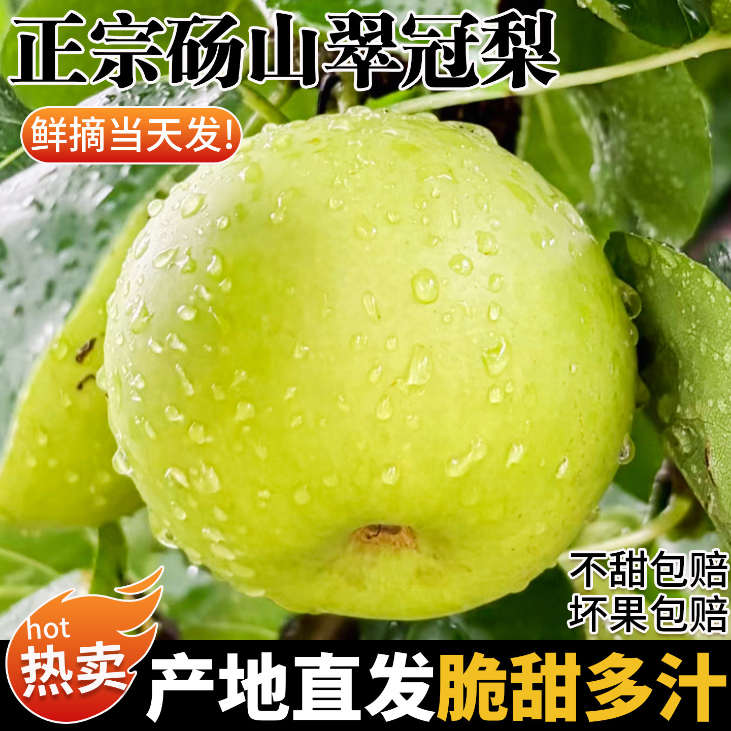 【自然熟】正宗砀山翠冠梨香脆甜