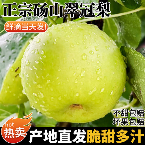 【自然熟】正宗砀山翠冠梨香脆甜