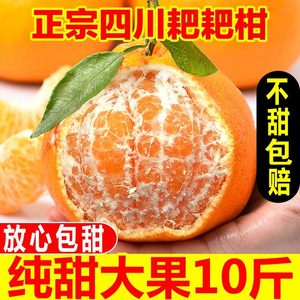 四川特级春见耙耙柑粑粑柑10斤橘子甜当季整箱新鲜水果丑柑桔包邮