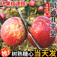 云南昭通丑苹果新鲜水果正宗整箱当季冰糖心丑苹果红富士苹果包邮