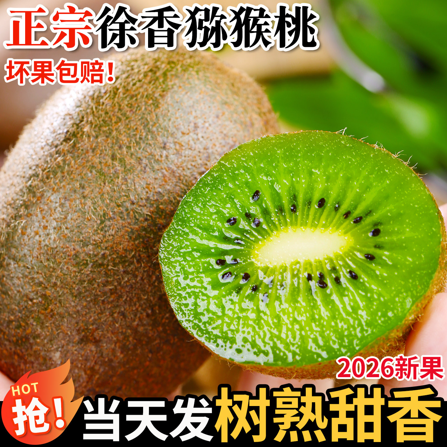 陕西眉县徐香猕猴桃绿心奇异果图片