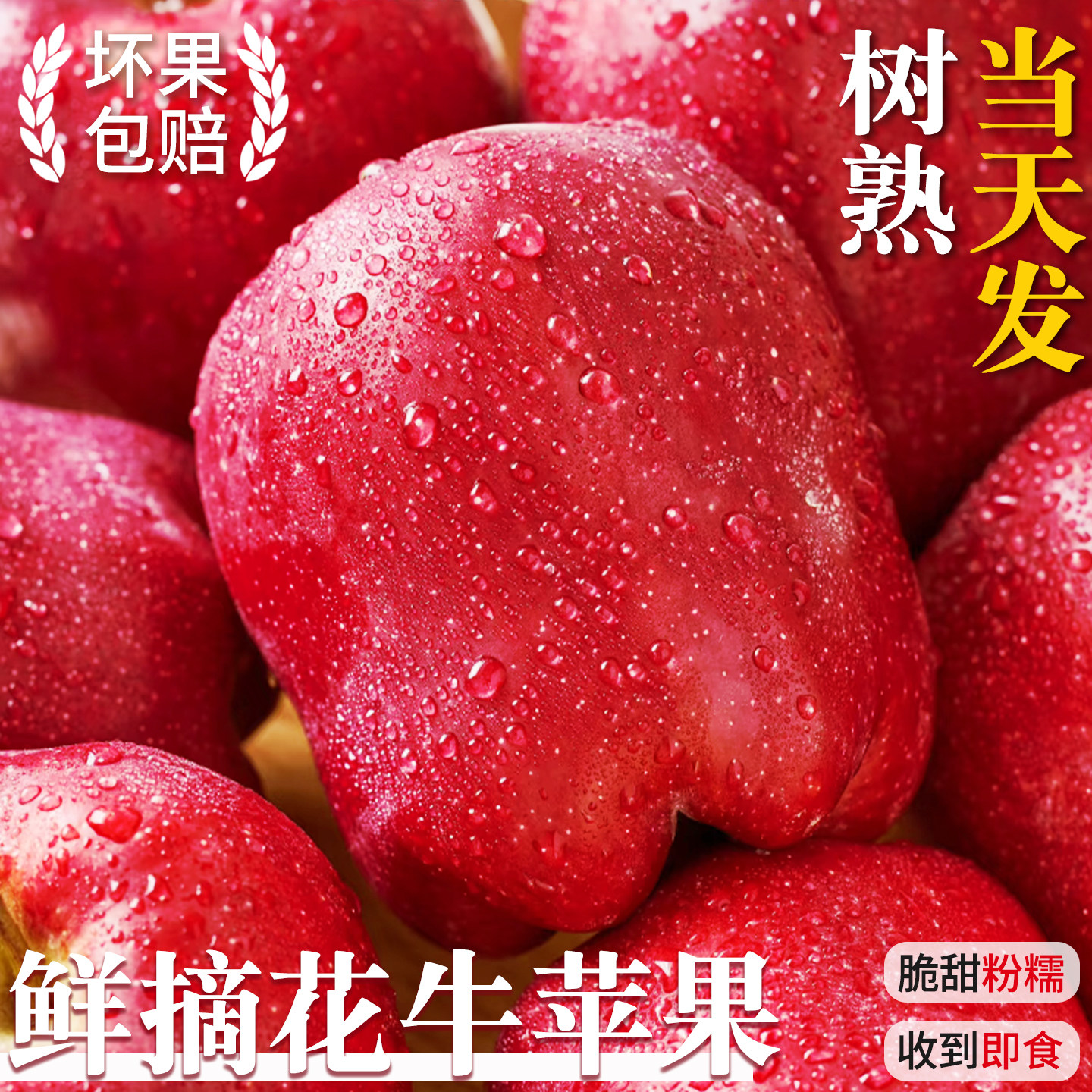 果怡芬新鲜甘肃天水花牛苹果