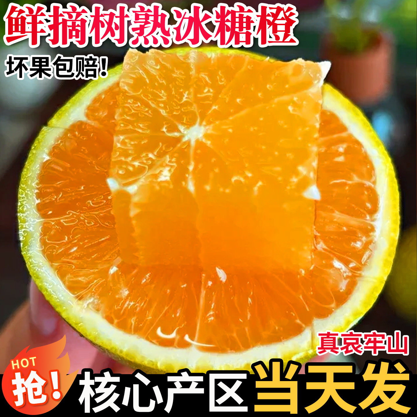 果怡芬正宗云南哀牢山冰糖橙