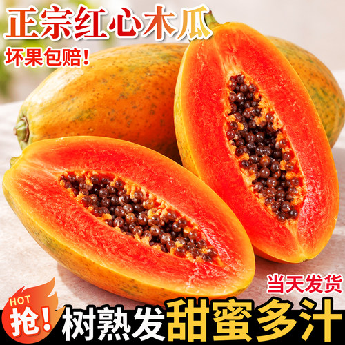 果怡芬红心牛奶木瓜新鲜大果