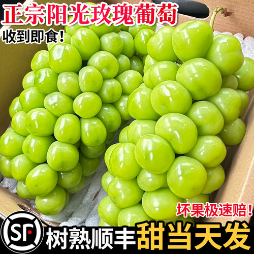 现摘顺丰阳光玫瑰葡萄新鲜水果