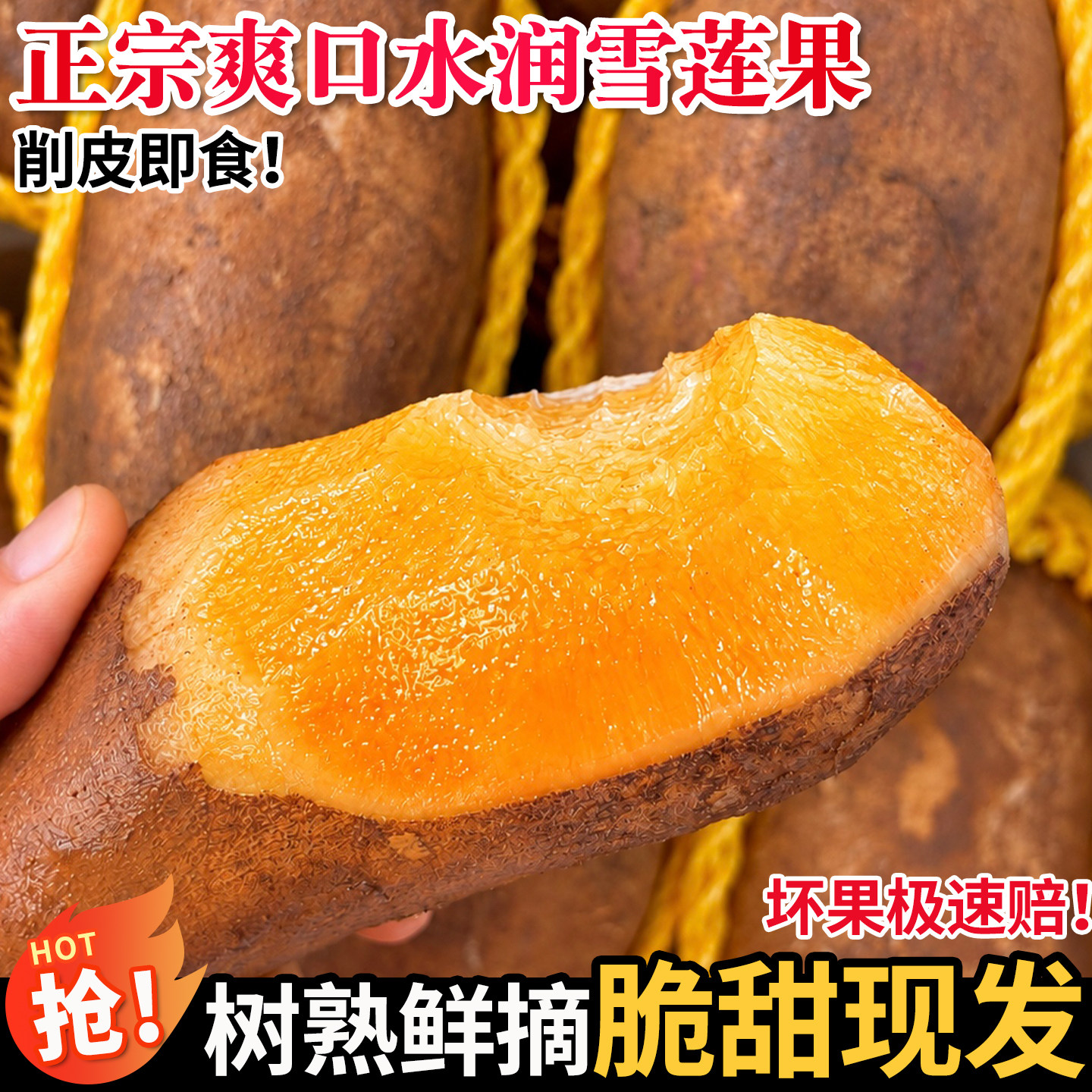 云南天山雪莲果正宗当季现挖脆甜
