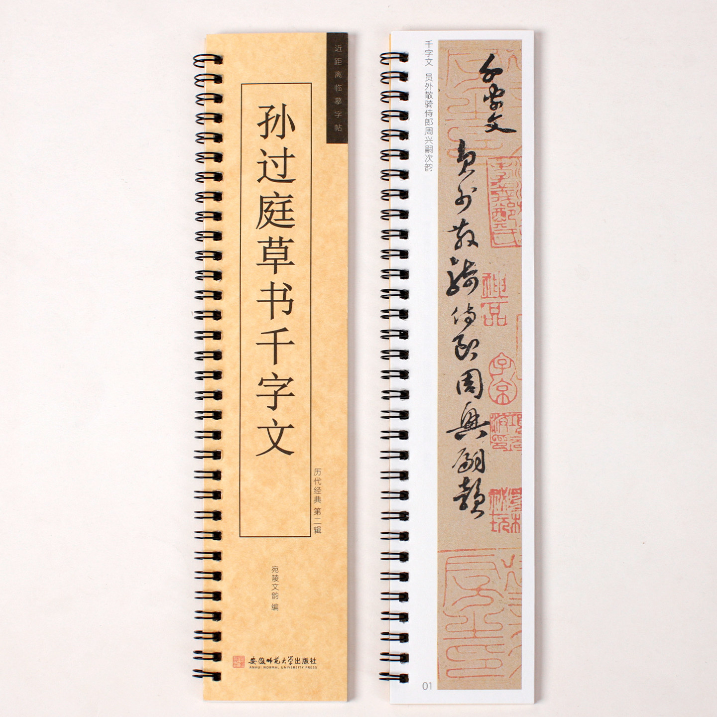 孙过庭草书千字文毛笔书法字帖经典碑帖书法临摹字卡原大版墨迹本成人学生书法入门书籍初学者毛笔字帖教材毛笔近距离临摹字卡