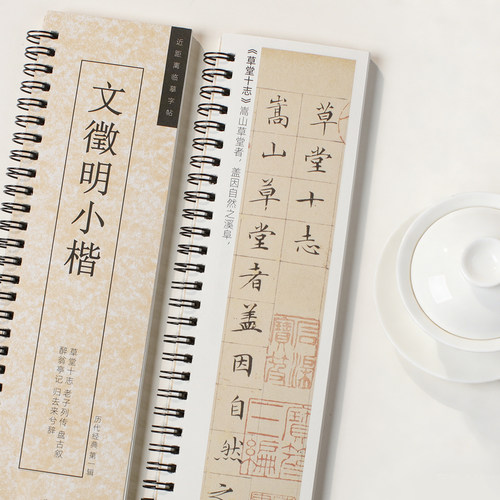 文徵明小楷新手友好近距离临摹卡