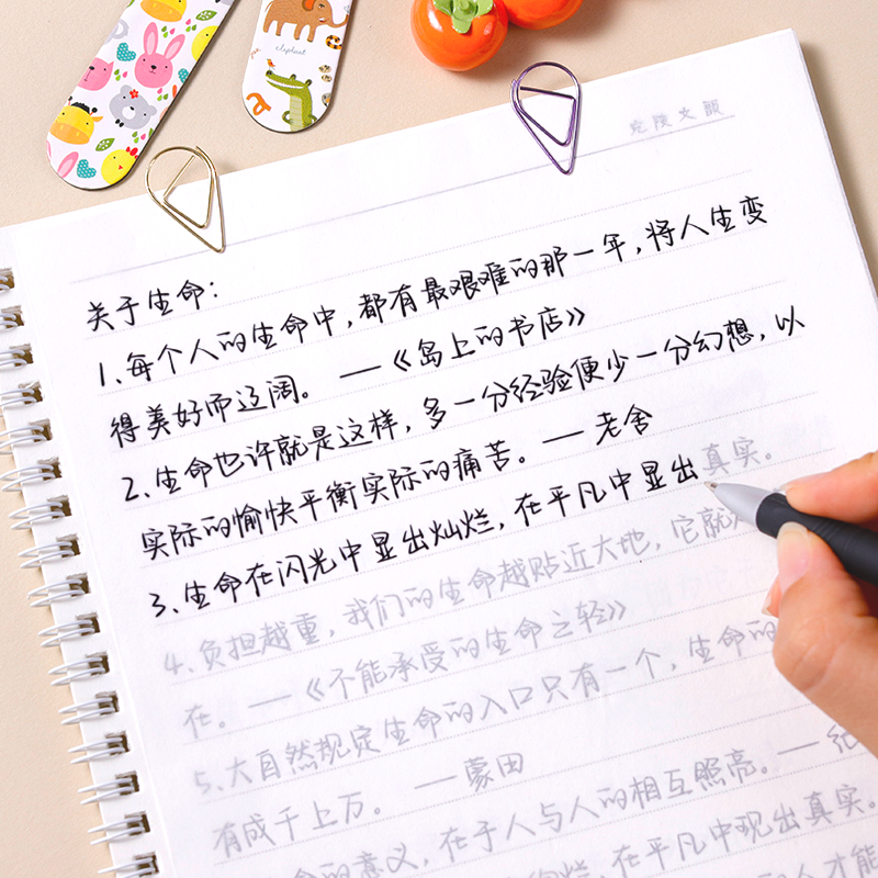 名人名言经典语录行楷临摹练字帖