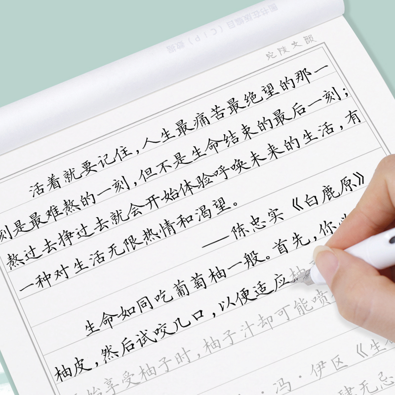 正楷手写字体硬笔楷书练字帖小学生成人大学生钢笔临摹字帖楷书行书练字成年男专用字帖女生字体漂亮初学者练字入门临摹练字本书籍/杂志/报纸练字本/练字板原图主图