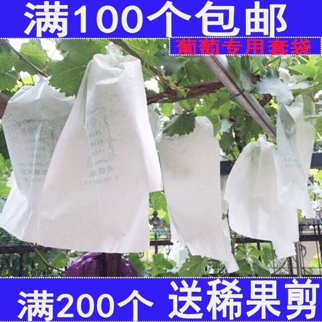 家用防鸟防水葡萄袋子水果套袋葡萄套袋专用袋套葡萄专用的纸袋子在类目 鲜花速递/花卉仿真/绿植园艺, 园艺用品, 其它园艺用品中 - 来自Buy2taobao.com提供专业的淘宝代购服务
