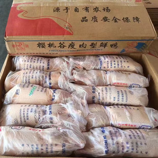鸭子生鲜批发樱桃谷冷冻鸭鸭肉新鲜白条鸭冻鸭整箱整只瘦肉型商用