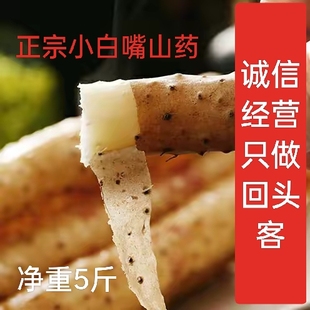 正宗蠡县小白嘴铁棍山药35-45CM新鲜发货粉糯香甜 5斤装净重包邮