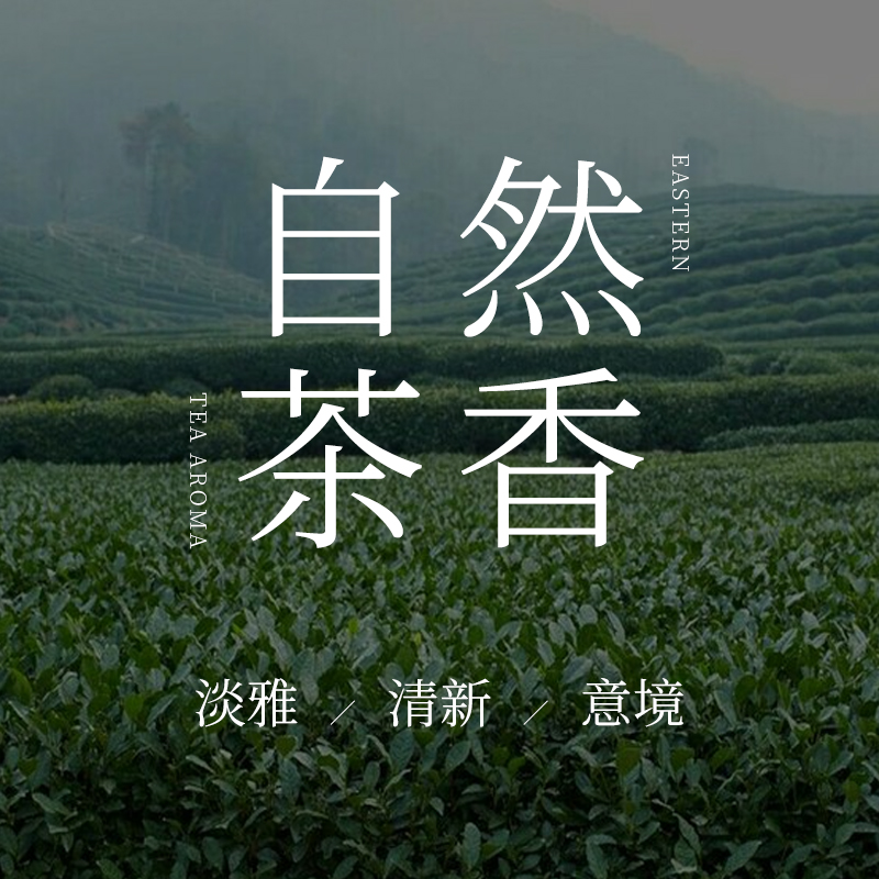 「茶香合集」香薰精油家用扩香石精油玉龙茶香 大吉岭茶 无极乌龙
