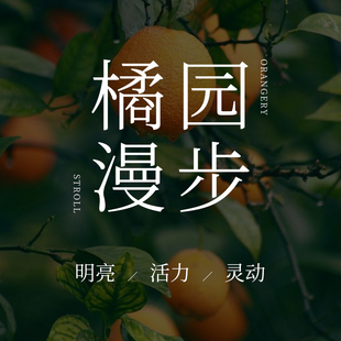 「柑橘合集」香薰精油扩香石蜡烛石膏东京柑橘 橘绿之泉 赤霞橘光