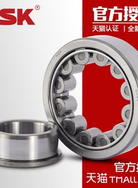 NSK进口轴承 NJ1040 M EW ET C3 内径200外径310高度51mm