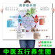 中医五行养生画人体五腑六脏时辰运行表挂图相生 金木水火土海报