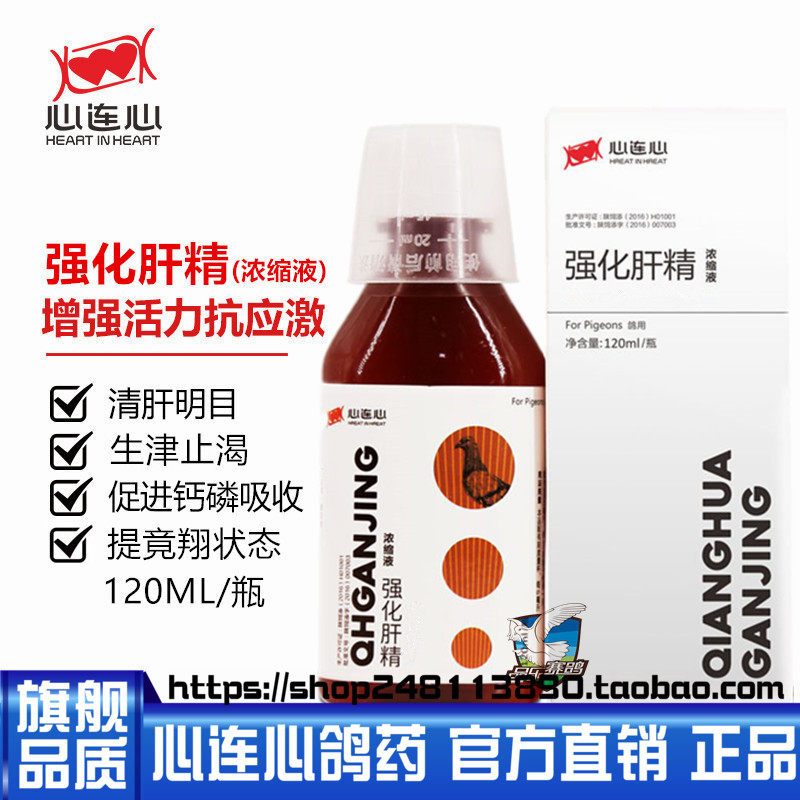 心连心鸽药强化肝精浓缩液 赛信鸽子药品肝精调理120ml包邮新品惠