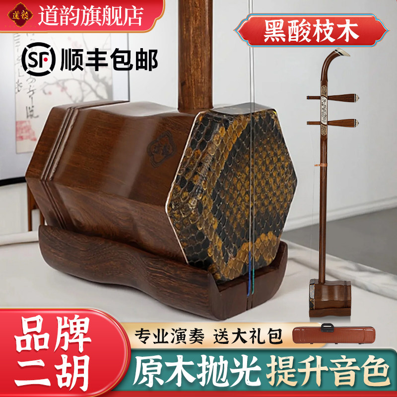 道韵二胡乐器初学者入门红木黑酸枝专业演奏琴苏州二胡厂家直销