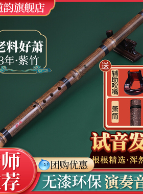 道韵高档紫竹箫洞萧乐器初学入门专业演奏八孔F调G调短箫古风笛潇