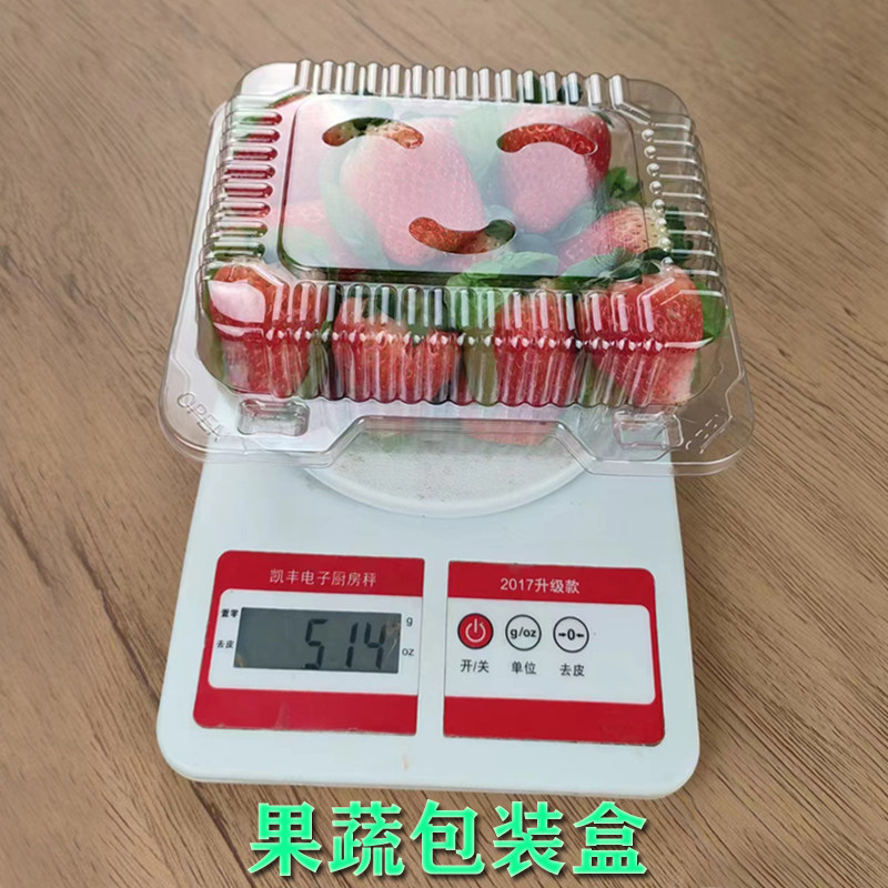 草莓盒子一次性一斤装塑料长方形透明水果打包装盒果切盒便携外出
