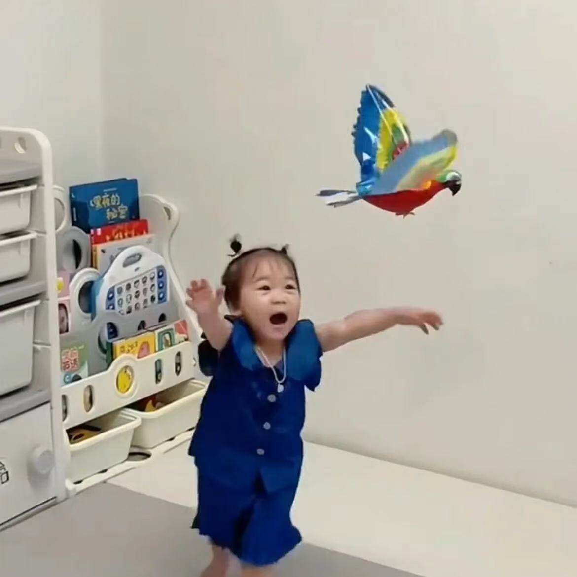 电动老鹰仿真声光老鹰玩具鸟会飞回会叫逗猫玩具婴儿解闷电动鸟