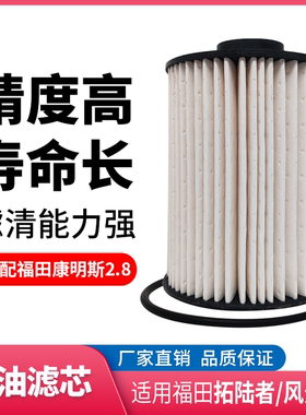 适配福田风景拓陆者康明斯2.8 柴油滤芯 FS19925 燃油滤芯 柴油格