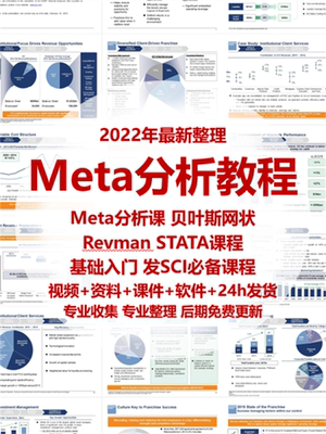 Meta网状分析入门到精通数据分析指导发布SCI文章视频教程网课程
