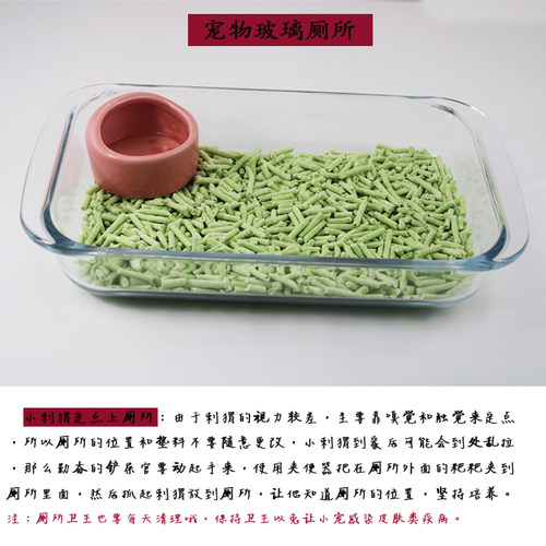 宠物迷你刺猬龙猫厕所玻璃便盘