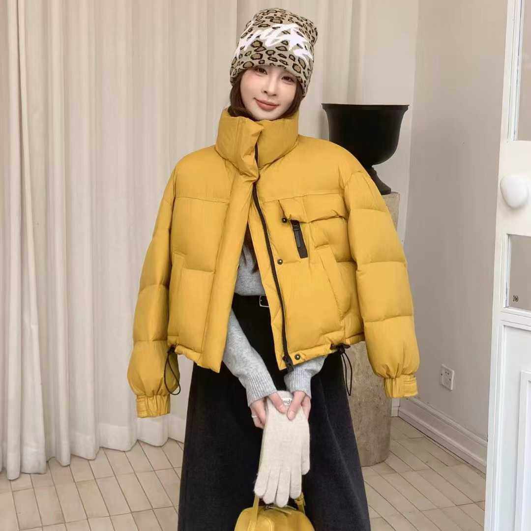 立领加厚白鸭绒保暖外套羽绒服女