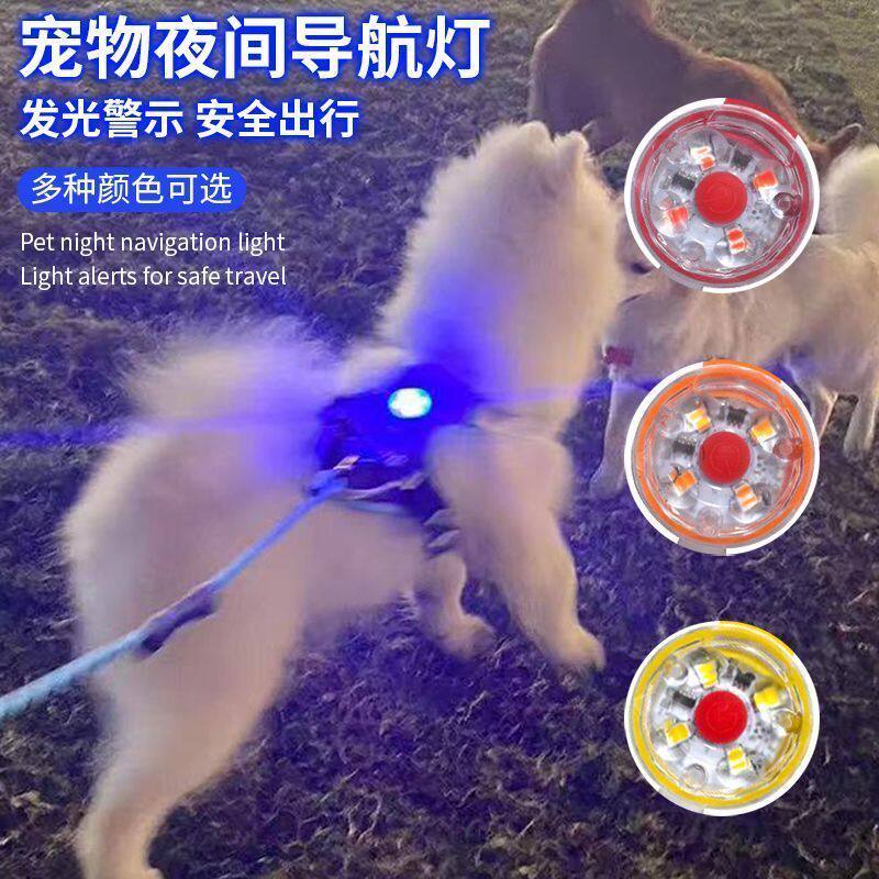 新款宠物夜间出行神器充