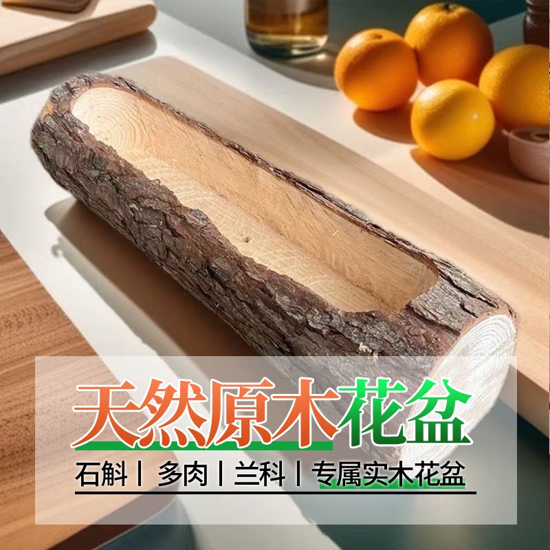 创意高端多肉花盆长方形枯木树桩阳台庭院特大口径仙人球木头花槽