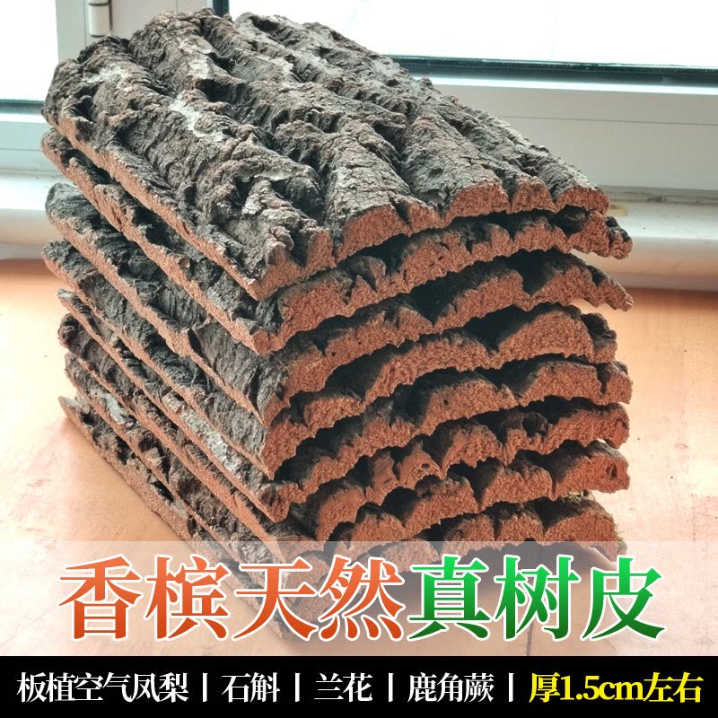 香槟软木真树皮鹿角蕨挂板定值板空气凤梨石斛兰花蝴蝶兰种植板植