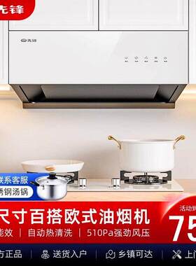 先锋抽油烟机白色家用厨房大吸力中式欧式顶吸小型自动清洗700mm