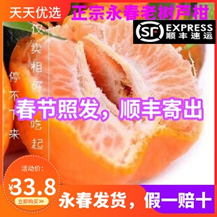 顺丰包邮正宗福建永春芦柑椪柑特大果孕妇水果新鲜应季桔子礼盒装
