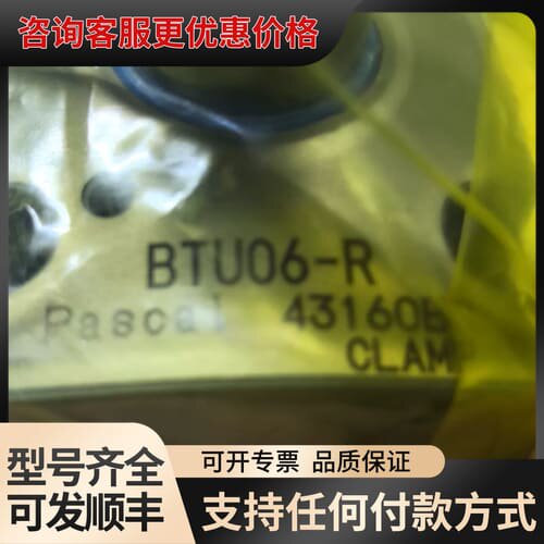 议价7-9帕斯卡Pascal夹紧器油缸 BTU06-R，可维修