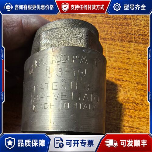 议价EUROPA止回阀型号DN25PN25意大利铜材质可维修