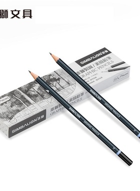 雄狮素描铅笔初学者绘画速写2h4b6b8b绘图2比4b美术用品10b画画套装hb美术生专用工具