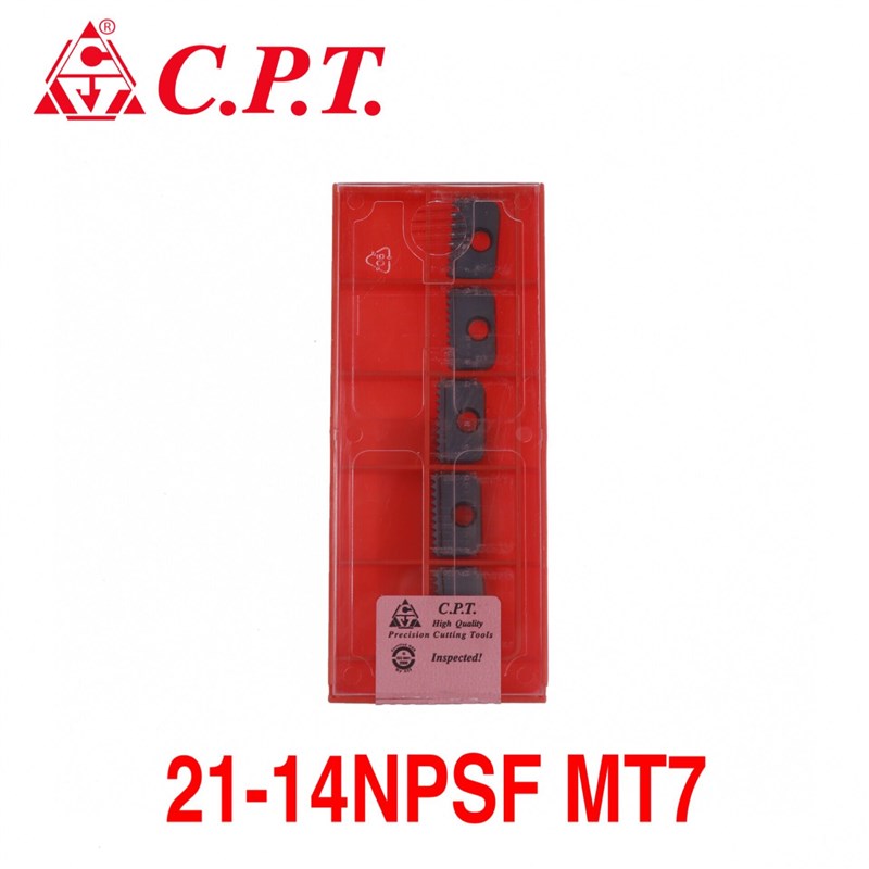 CARMEX卡迈斯CPT 21-14NPSF MT7