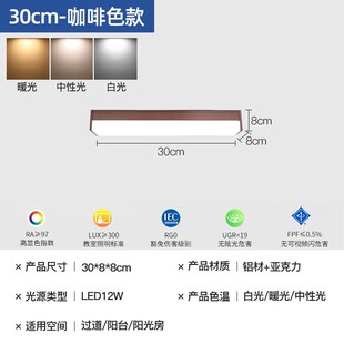 阳光房专用吸顶灯户外阳台过道灯防雨走廊顶灯长条露台屋檐阳光棚
