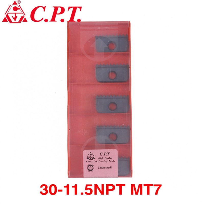 德国CARMEX卡迈斯CPT 30-11.5NPT MT7