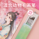 飞乐鸟 成人画画笔混合动物毛画笔描边专用圆头勾线笔 鹭水彩笔水彩画笔专业初学者学生美术绘画5支装