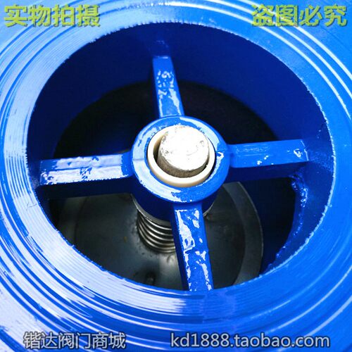法兰球墨铸铁消声止回阀法兰立式止回阀单向阀4寸6寸8寸DN80 100