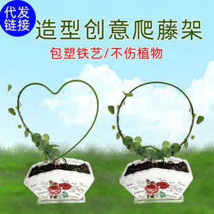 室内铁艺圆形心形雪莹山乌龟甲龙蝴蝶兰造型花架爬藤架子植物支