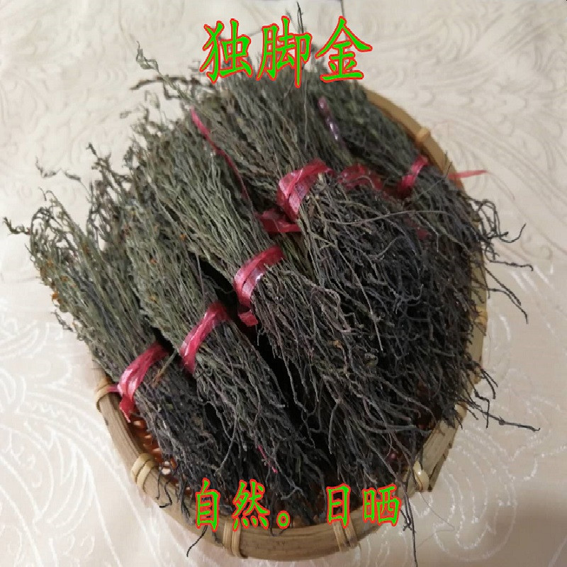 独脚金疳积草小叶独角金草儿童消食疳积独脚柑 黄花草煲汤50g包邮
