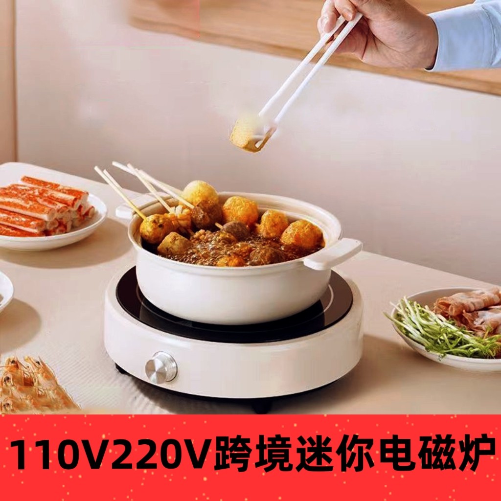 跨境出口110V220V迷你电磁炉宿舍圆形出国留学小厨具欧美英标插头