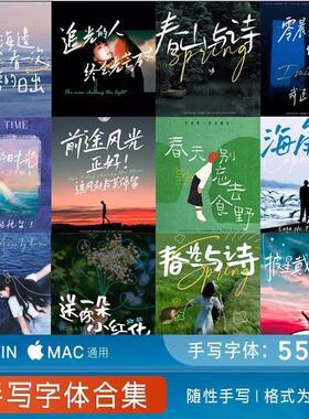 手写字体合集中文简体文艺清新钢笔笔记签名procreate字体包下载