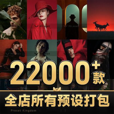 ps滤镜pr调色lightroom人像磨皮lut插件手机日系lr预设婚礼胶片色