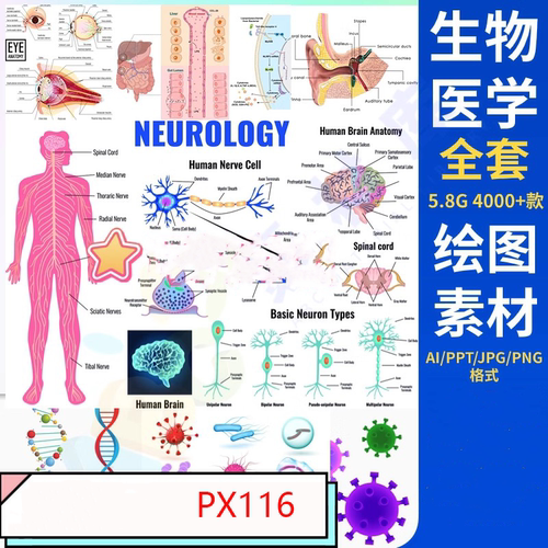 ai模板生物医学科研绘图ppt素材可编辑插图细胞流程图通路图