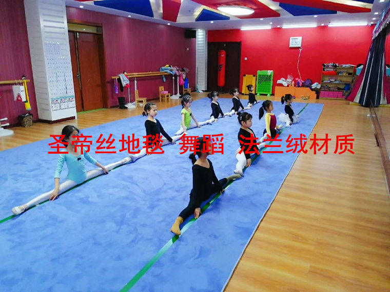 加厚武术地毯瑜伽运动健身房地毯舞蹈专用地垫比赛训练地毯定制在类目 居家布艺, 地毯中 - 来自Buy2taobao.com提供专业的淘宝代购服务